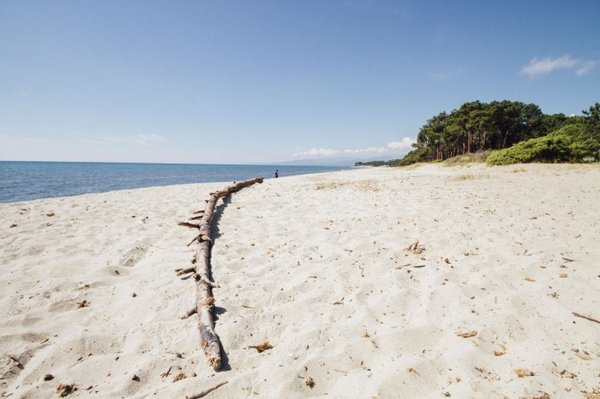 Quand est-ce que le Camping 4 étoiles à Bidart est le plus Fréquenté ?