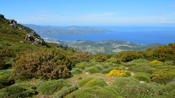Perla di Mare, camping en Corse